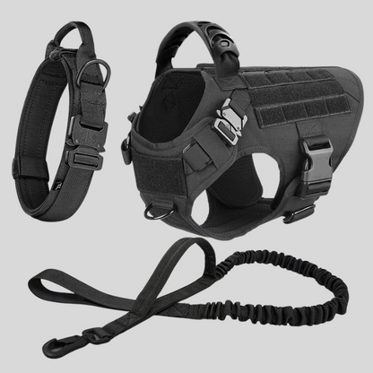 Large Dog Harness &amp; Leash Set – Training Vest for Big Breeds