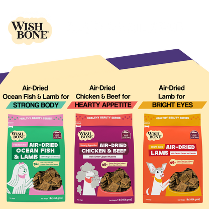 Wishbone Air-Dried Beef &amp; Lamb Recipe Dog Food - 454g
