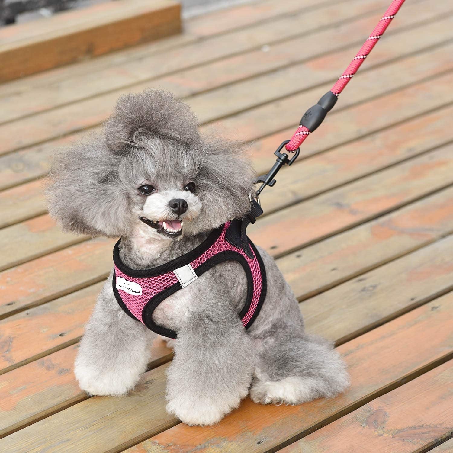 Reflective Harness &amp; Dog Leash