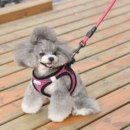 Reflective Harness &amp; Dog Leash