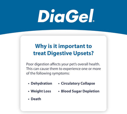 DiaGel Diarrhea Control Gel 5 ml Large Dogs Digestive Upset Loose Stool Relief