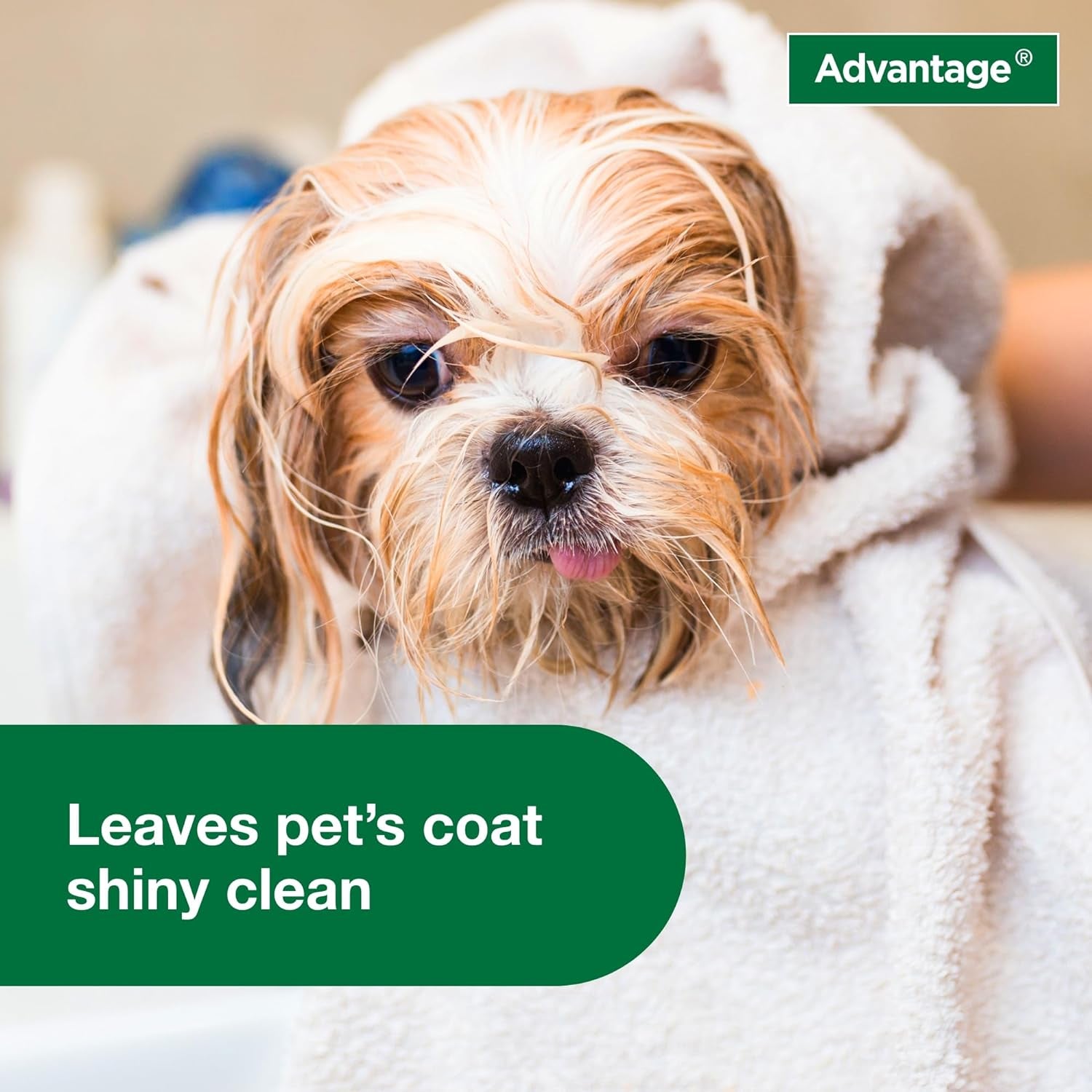 12 Oz Flea &amp; Tick Shampoo for Puppies &amp; Adult Dogs .