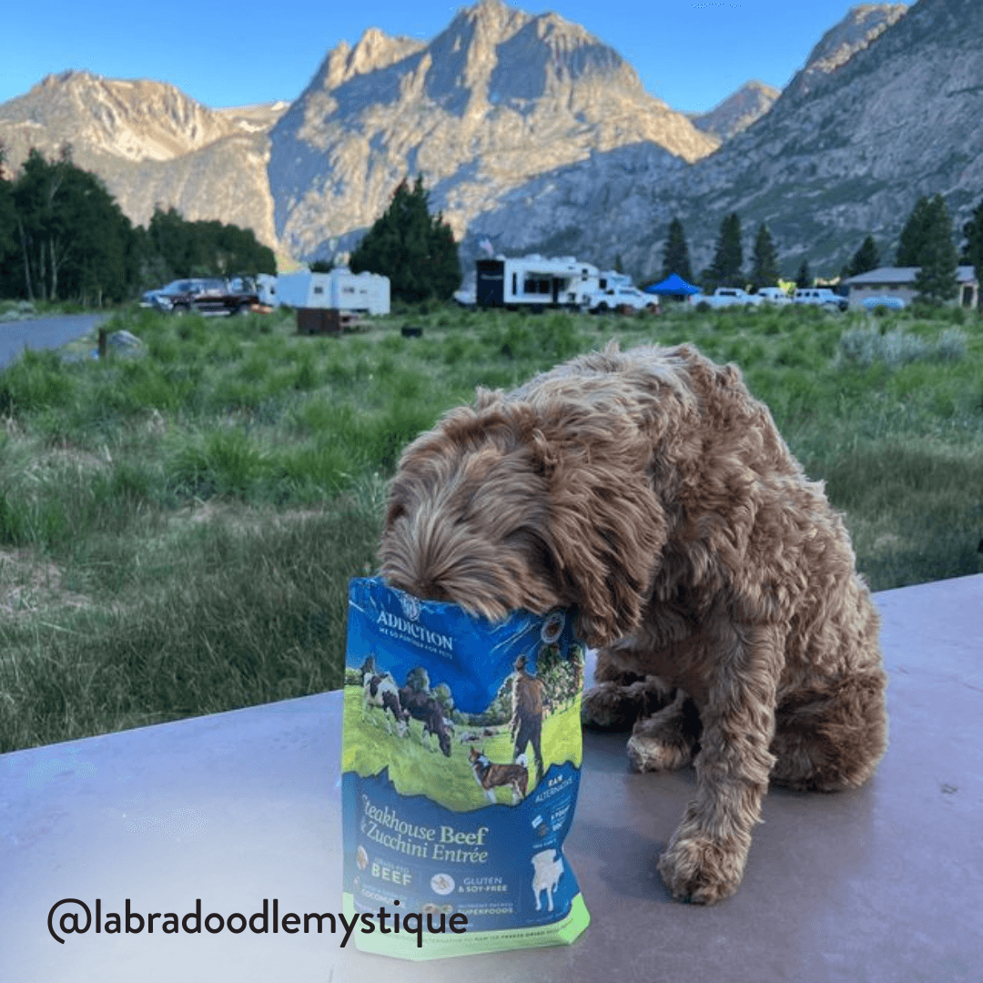 Steakhouse Beef &amp; Zucchini Air-Dried Dog Food