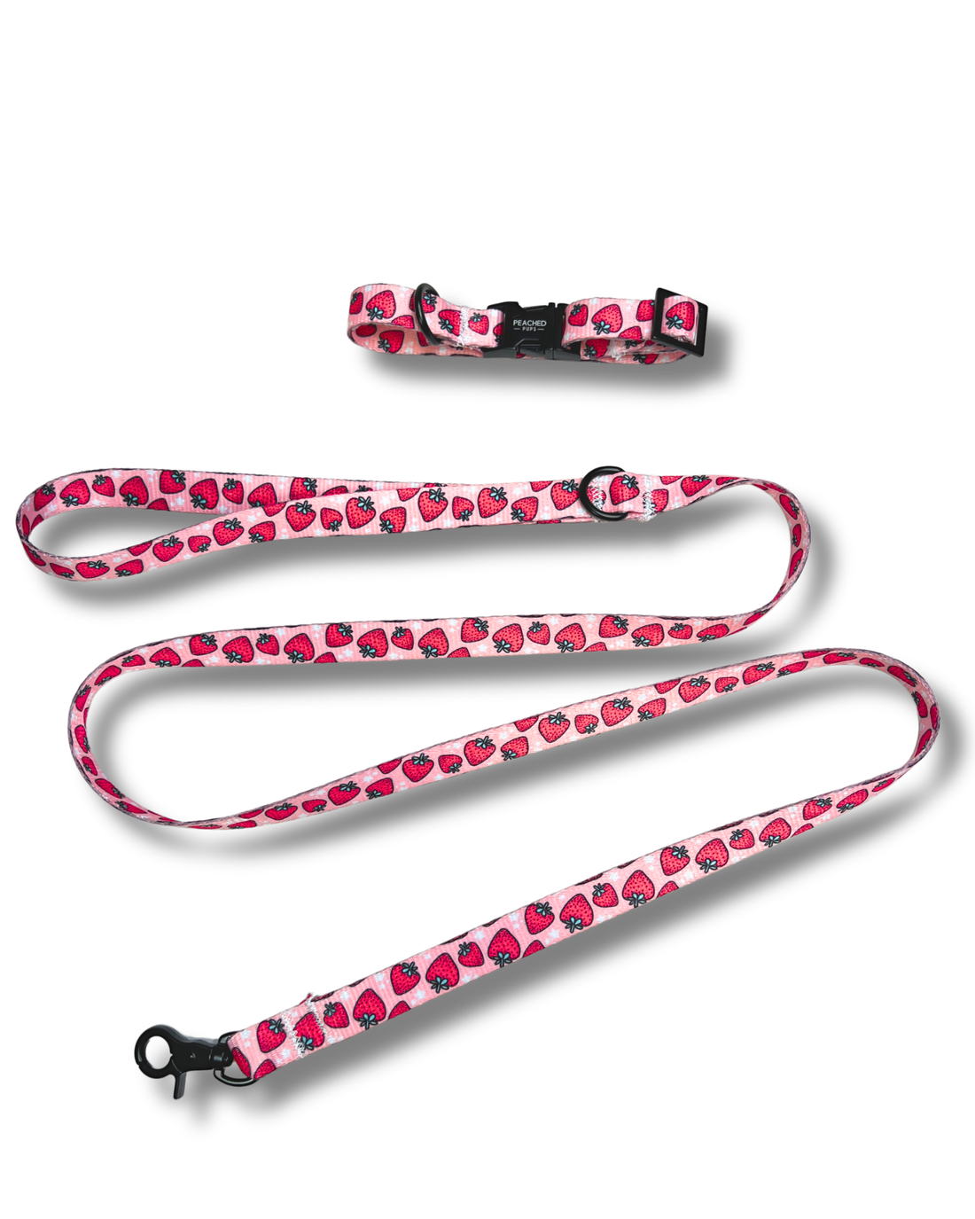 Strawberry Fields Leash