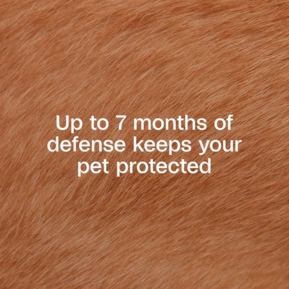 Adams Plus Flea Tick Collar Dogs 7-Month Large Dogs Puppies Kills Fleas Ticks
