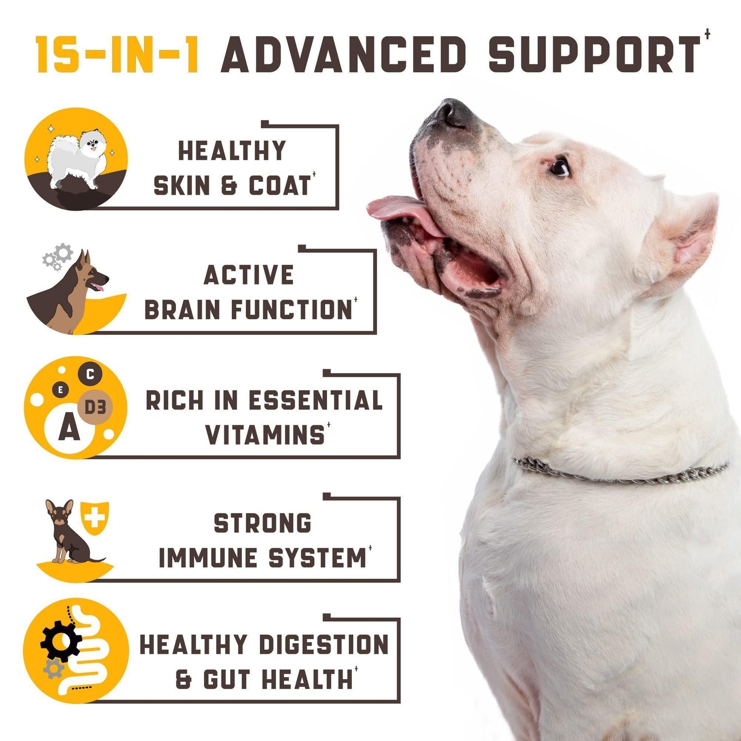 Dog Multivitamin 15-in-1 Immune Digestion Joint &amp; Heart Health