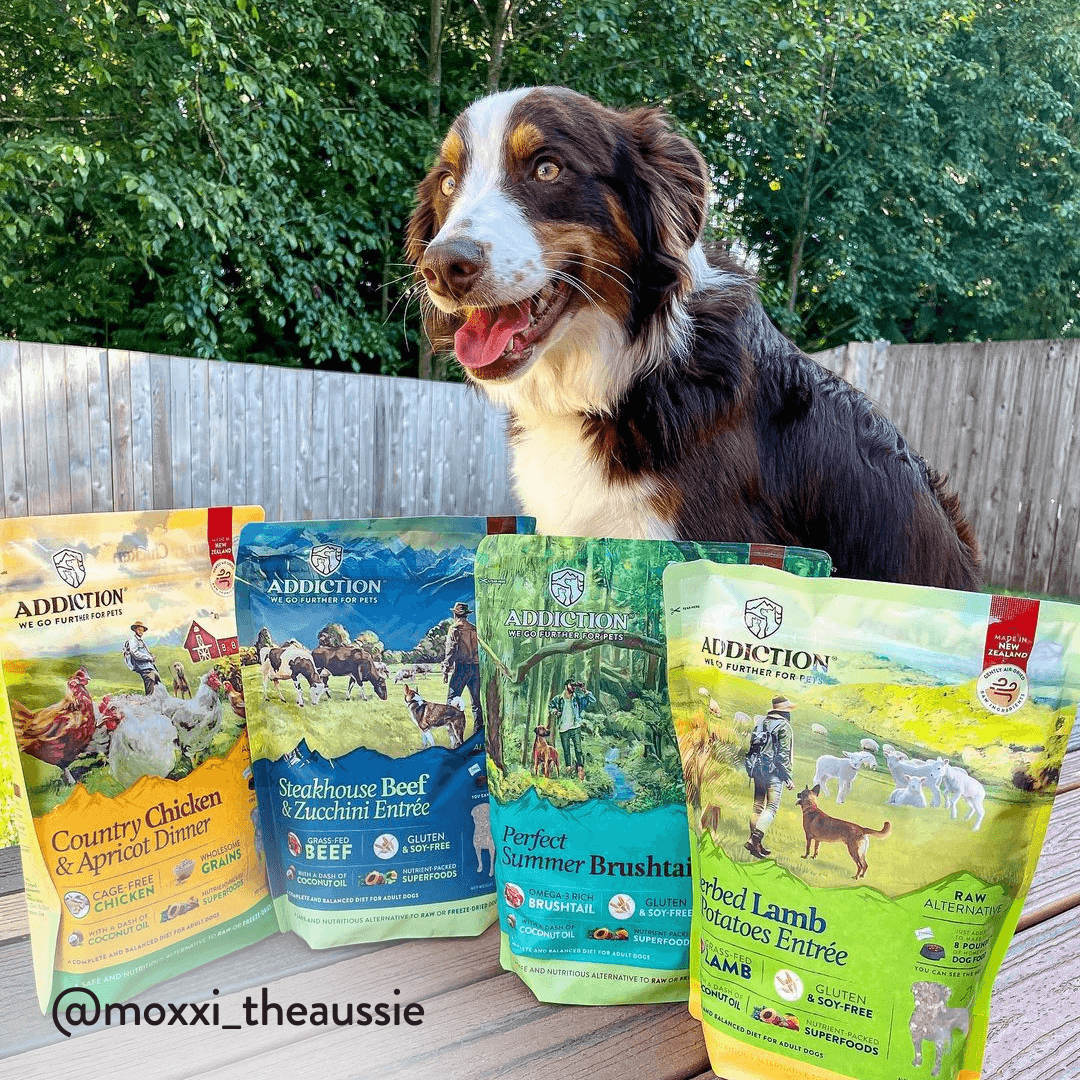 Herbed Lamb &amp; Potatoes Air-Dried Dog Food