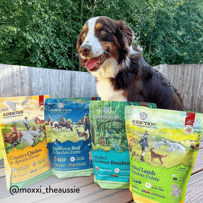 Steakhouse Beef &amp; Zucchini Air-Dried Dog Food