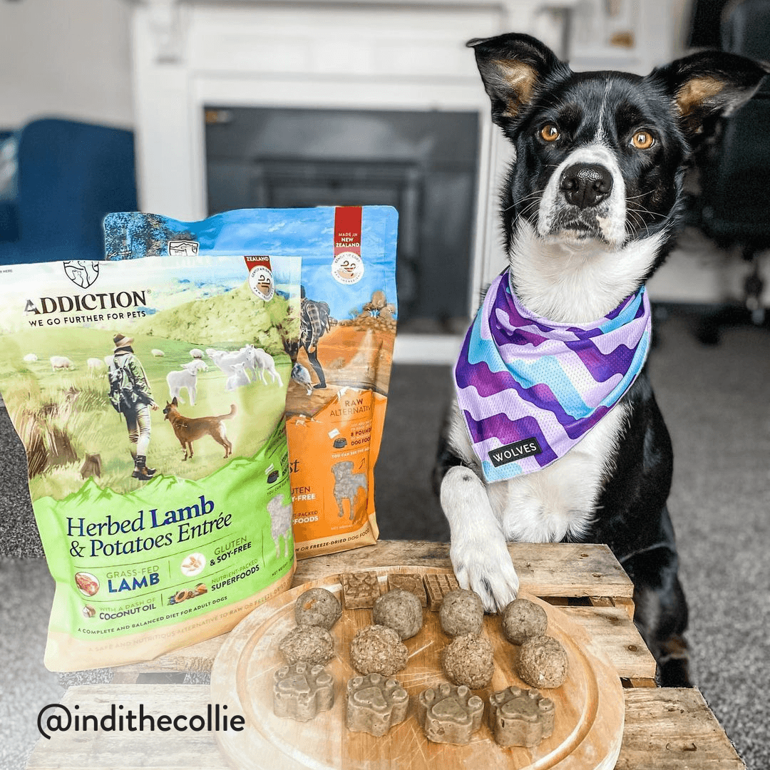 Herbed Lamb &amp; Potatoes Air-Dried Dog Food