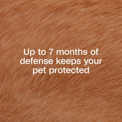 Adams Plus Flea &amp; Tick Collar for Small Dogs &amp; Puppies 7 Month Protection 3PK