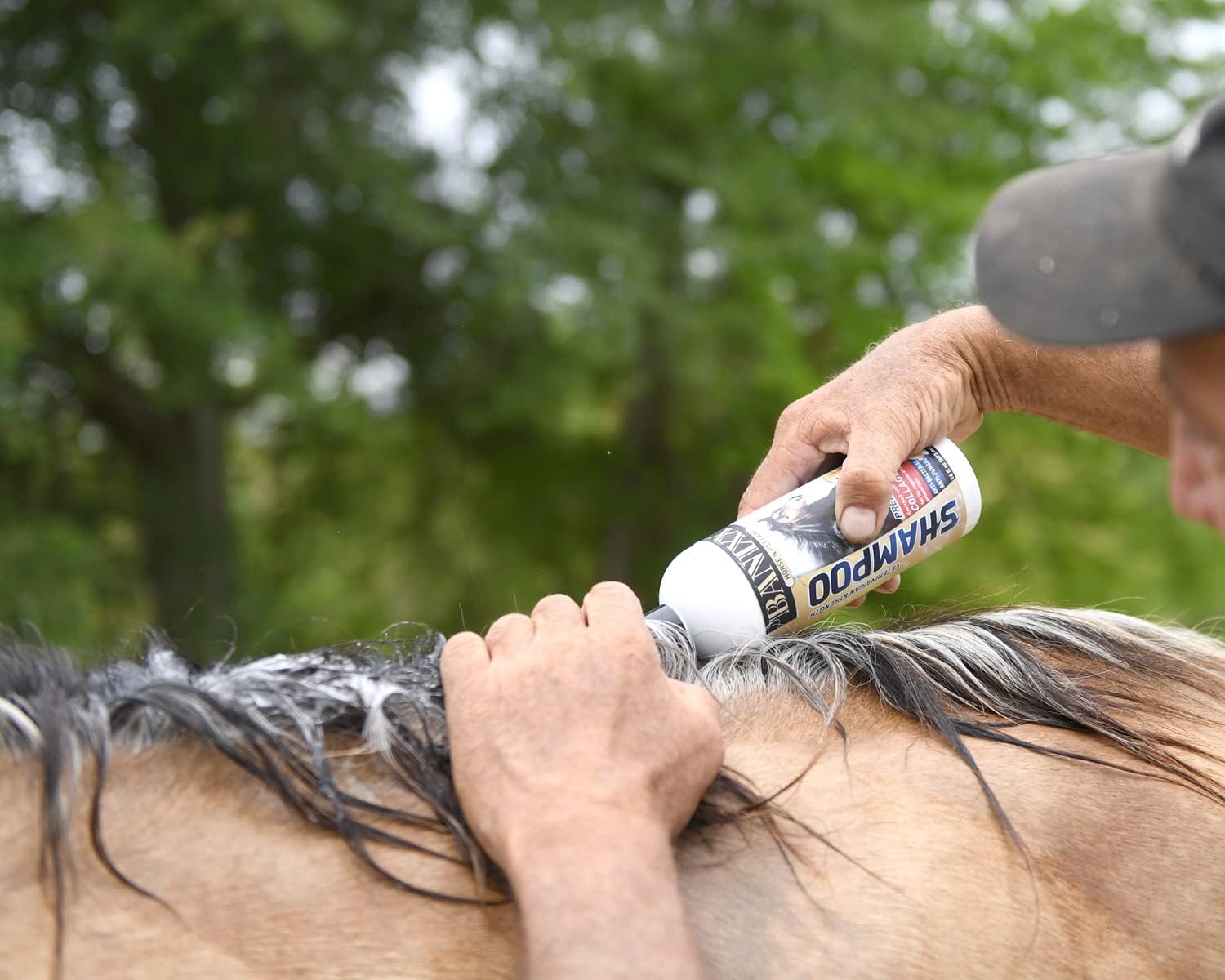 Banixx Shampoo &amp; Spray 16 oz – Horse &amp; Dog Skin &amp; Coat Care Combo – USA Made