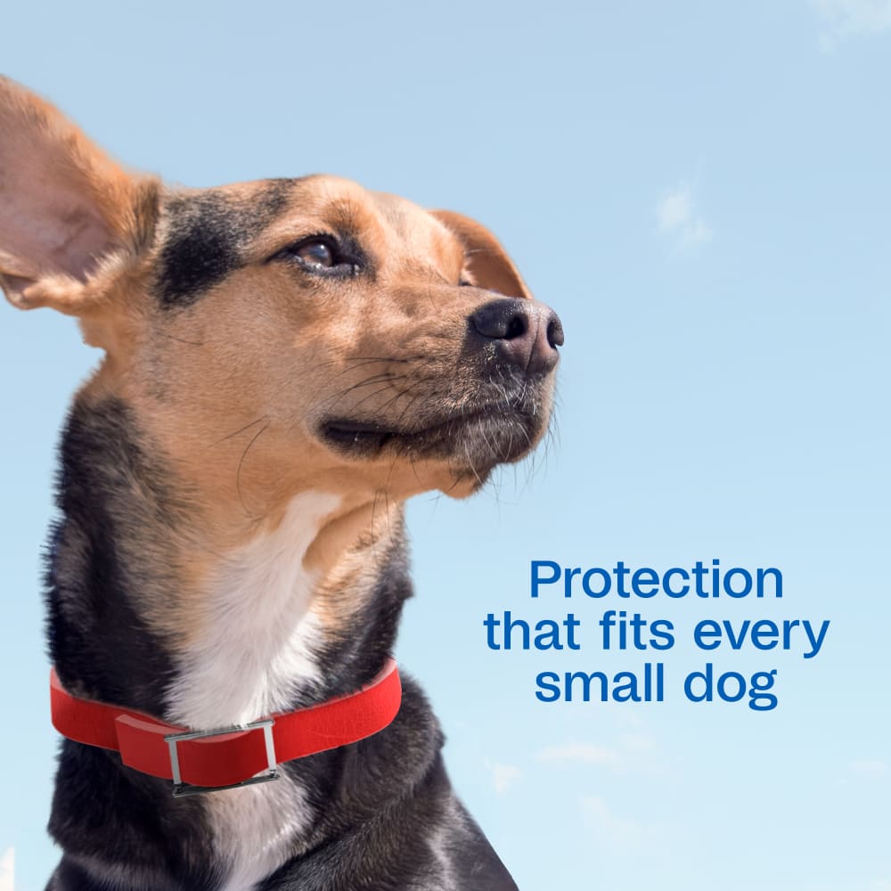 Adams Plus Flea &amp; Tick Collar for Small Dogs &amp; Puppies 7 Month Protection 3PK