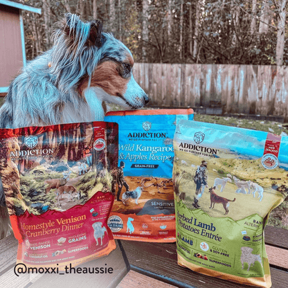 Homestyle Venison &amp; Cranberry Dinner Air-Dried Dog Food
