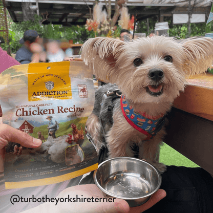 Chicken Meaty Bites - Hypoallergenic Dog Treats