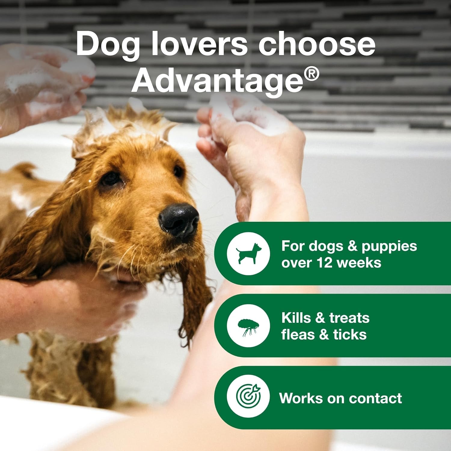 12 Oz Flea &amp; Tick Shampoo for Puppies &amp; Adult Dogs .