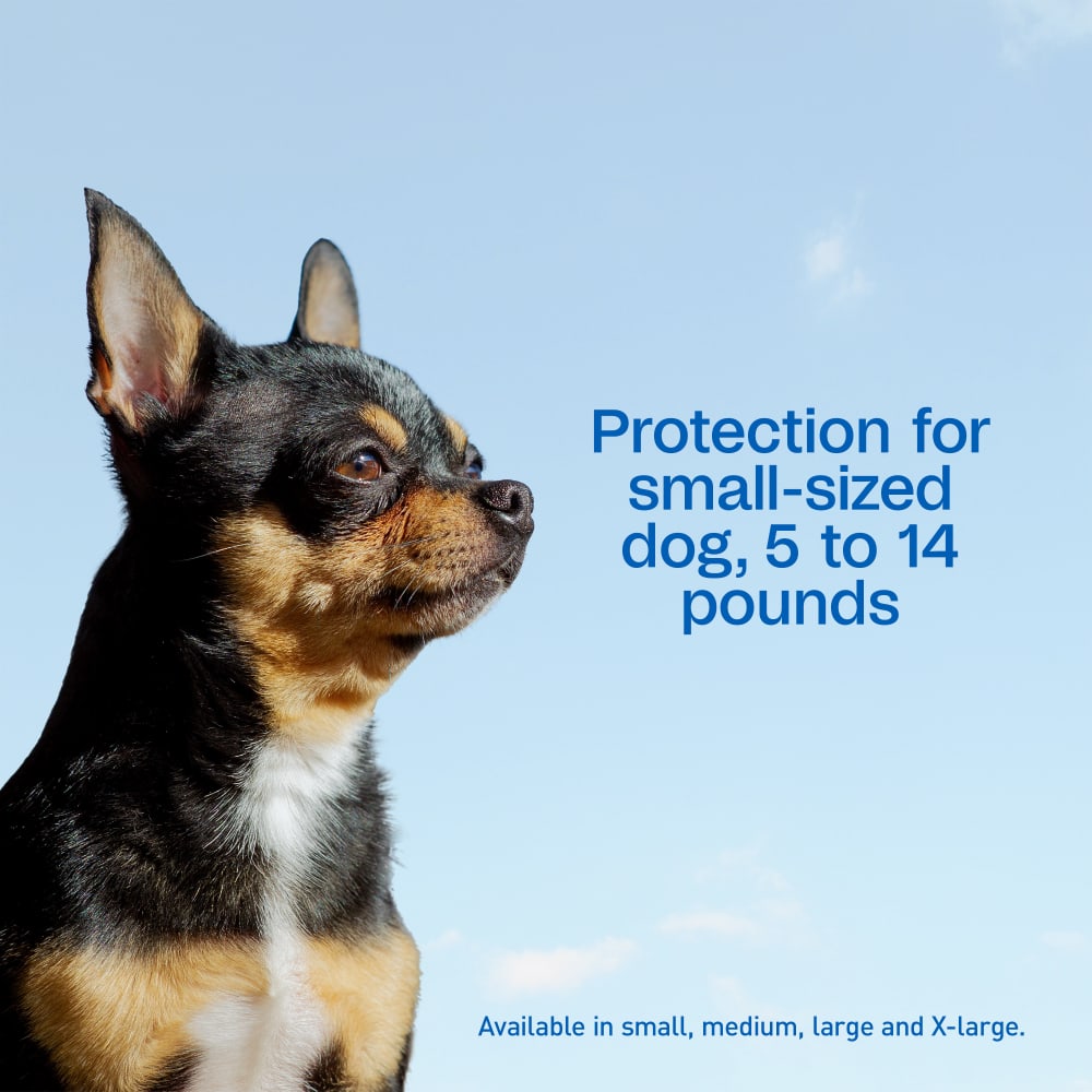 Adams Complete Indoor &amp; Outdoor Flea Treatment System for Small Dogs 5–14 lbs