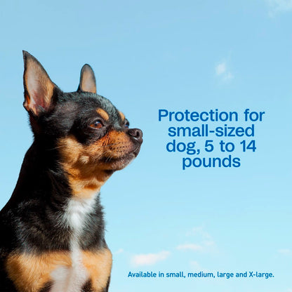 Adams Complete Indoor &amp; Outdoor Flea Treatment System for Small Dogs 5–14 lbs