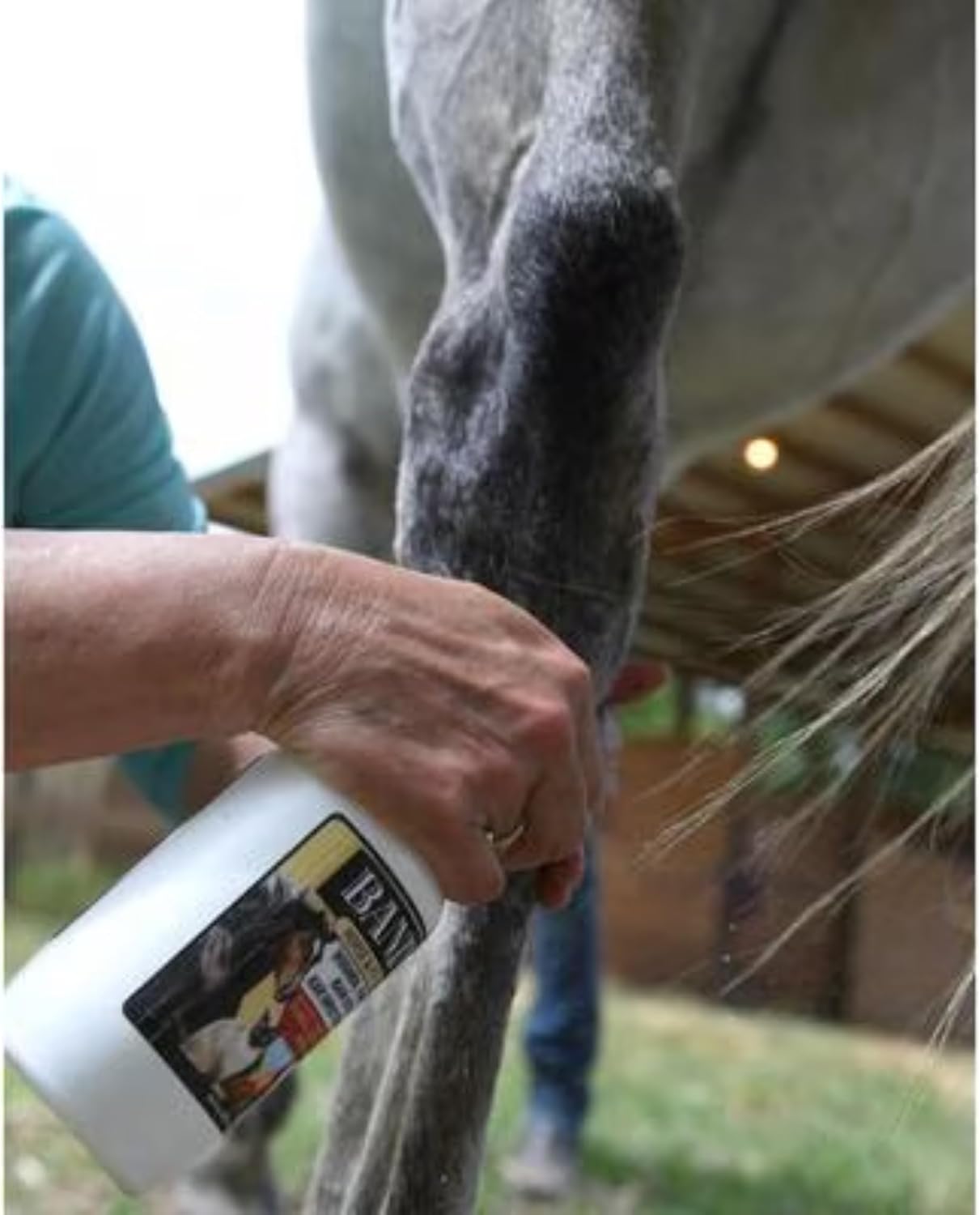 Banixx Shampoo &amp; Spray 16 oz – Horse &amp; Dog Skin &amp; Coat Care Combo – USA Made