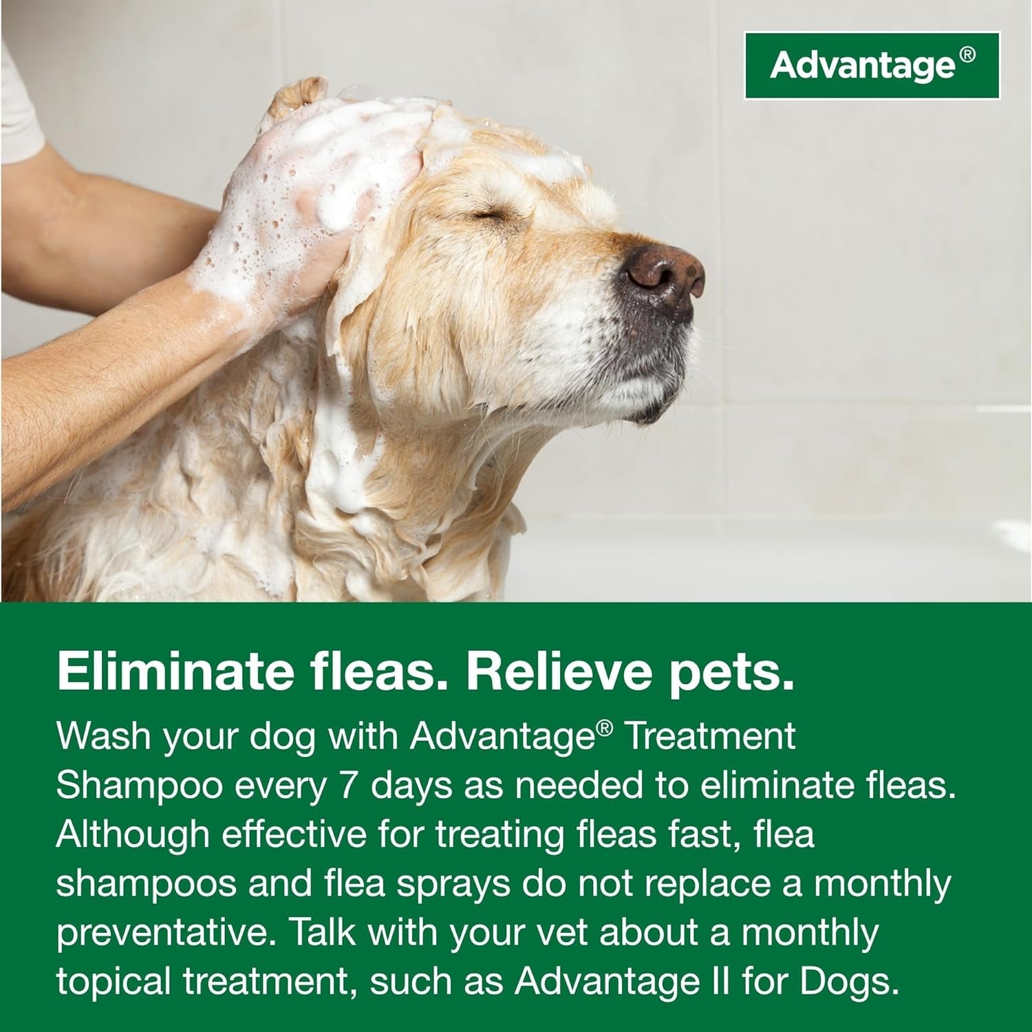 12 Oz Flea &amp; Tick Shampoo for Puppies &amp; Adult Dogs .