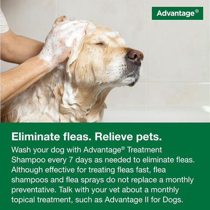 12 Oz Flea &amp; Tick Shampoo for Puppies &amp; Adult Dogs .