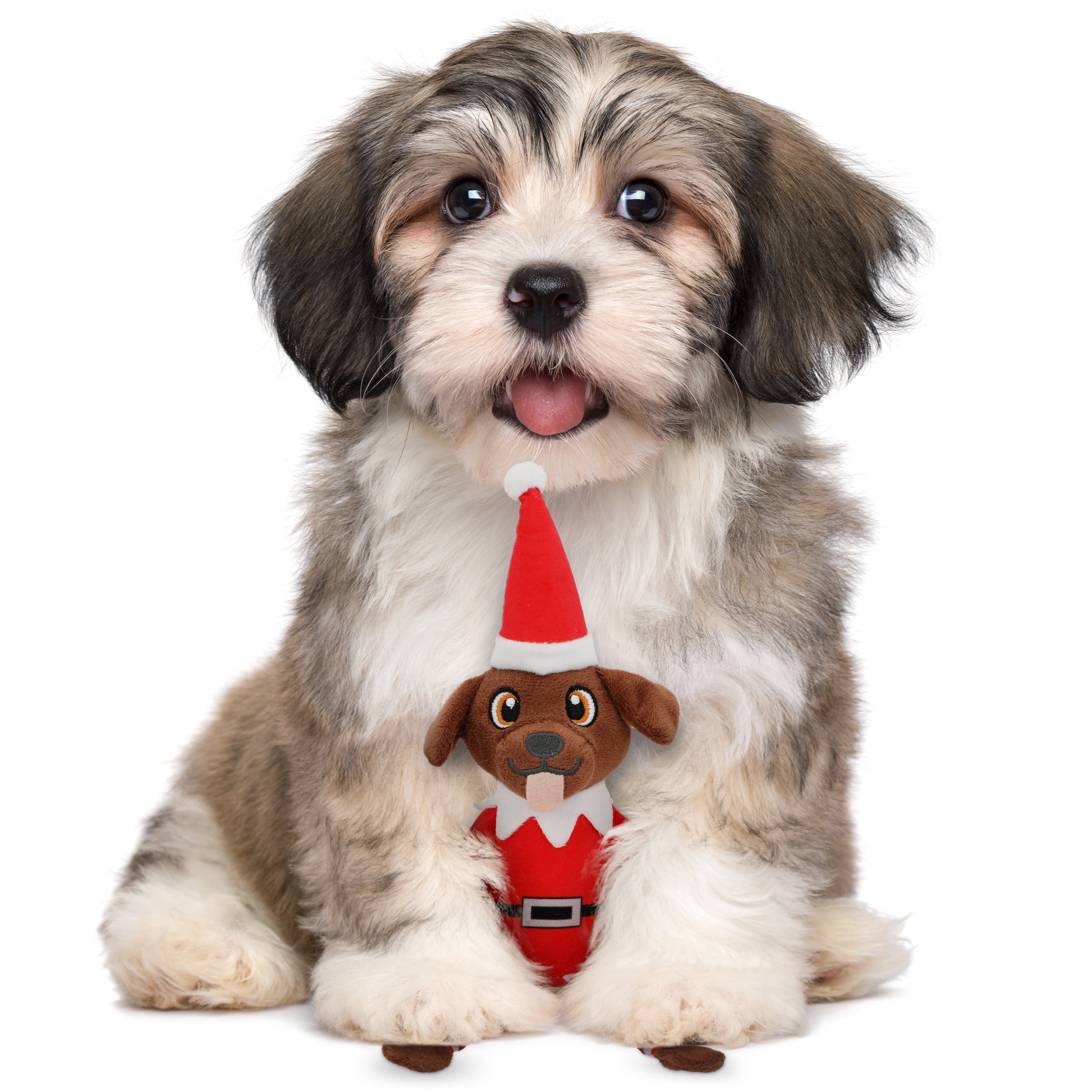 PUPROAR Pooch on a Perch | Elf Dog Toy &amp; Christmas Dog Toy