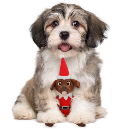 PUPROAR Pooch on a Perch | Elf Dog Toy &amp; Christmas Dog Toy