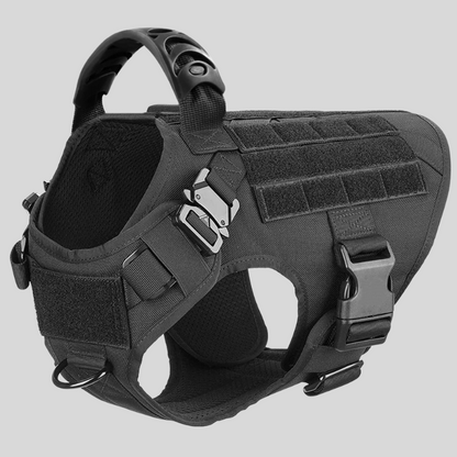 Large Dog Harness &amp; Leash Set – Training Vest for Big Breeds