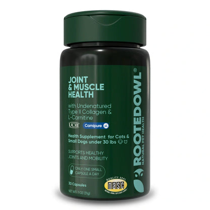 Joint &amp; Muscle Health
