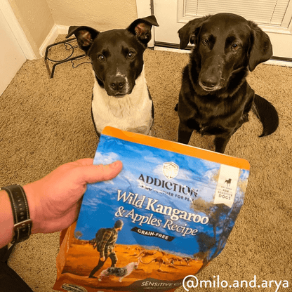 Wild Kangaroo &amp; Apples Recipe Dry Dog Food