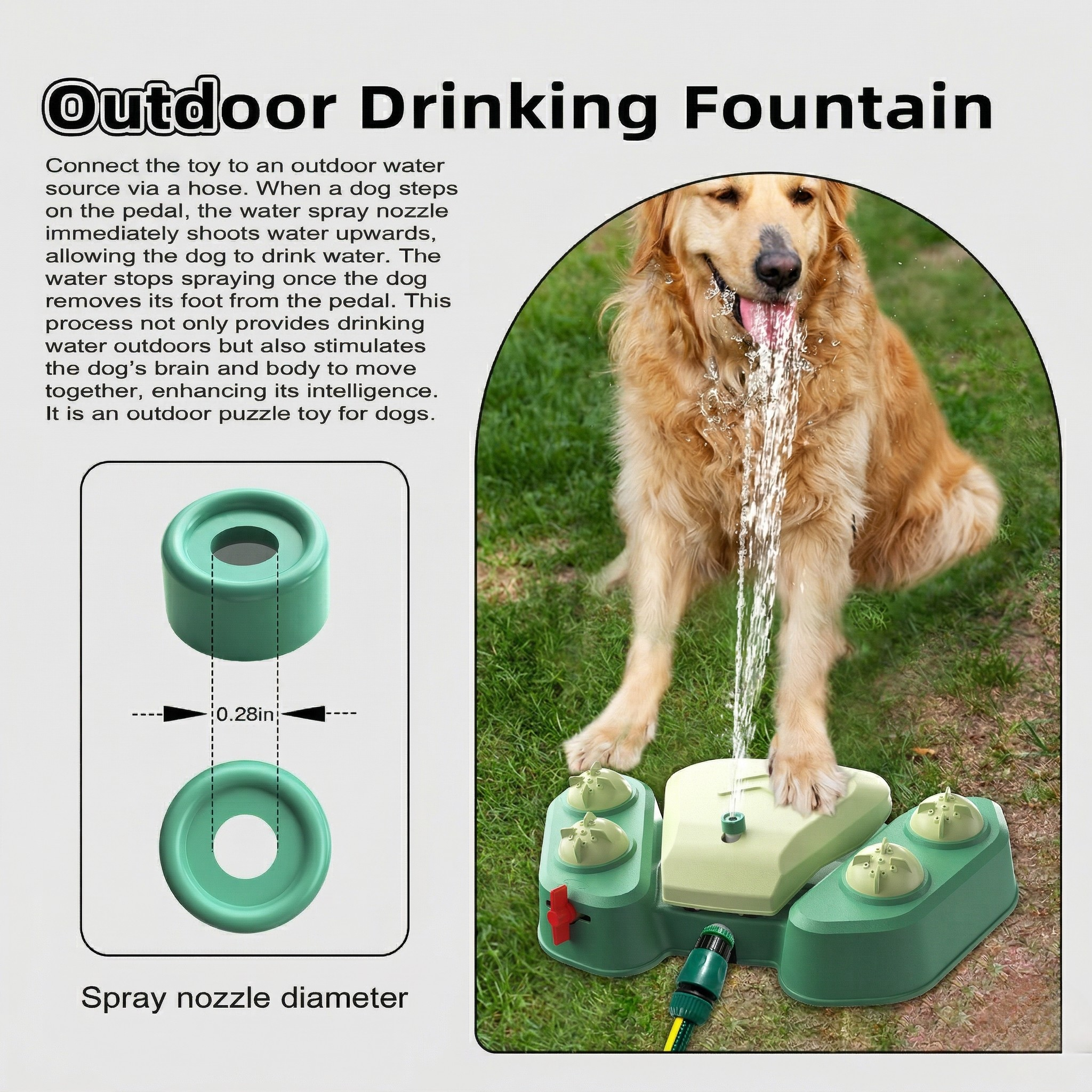 AquaPaw  Outdoor Play &amp; Hydration Station