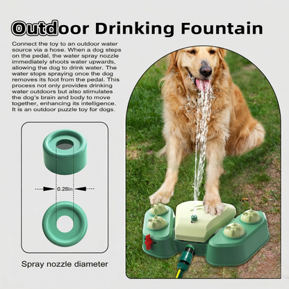 AquaPaw  Outdoor Play &amp; Hydration Station