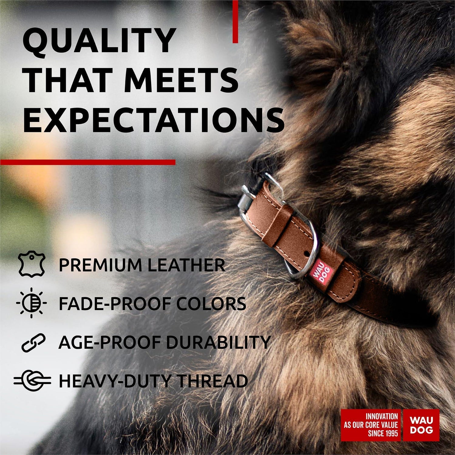 Leather Dog Collar Small &amp; Medium Dogs 12–15 in Neck Brown