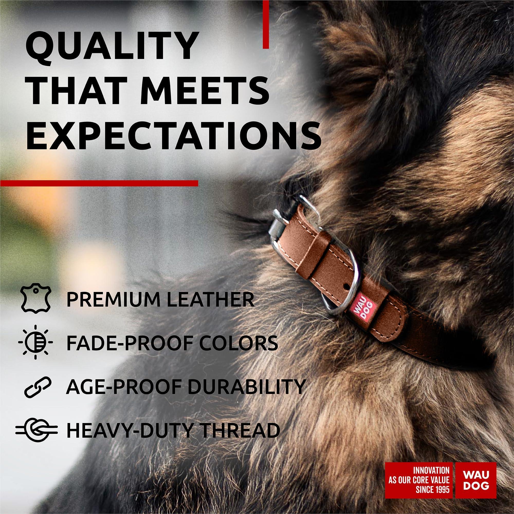Leather Dog Collar Small &amp; Medium Dogs 12–15 in Neck Brown