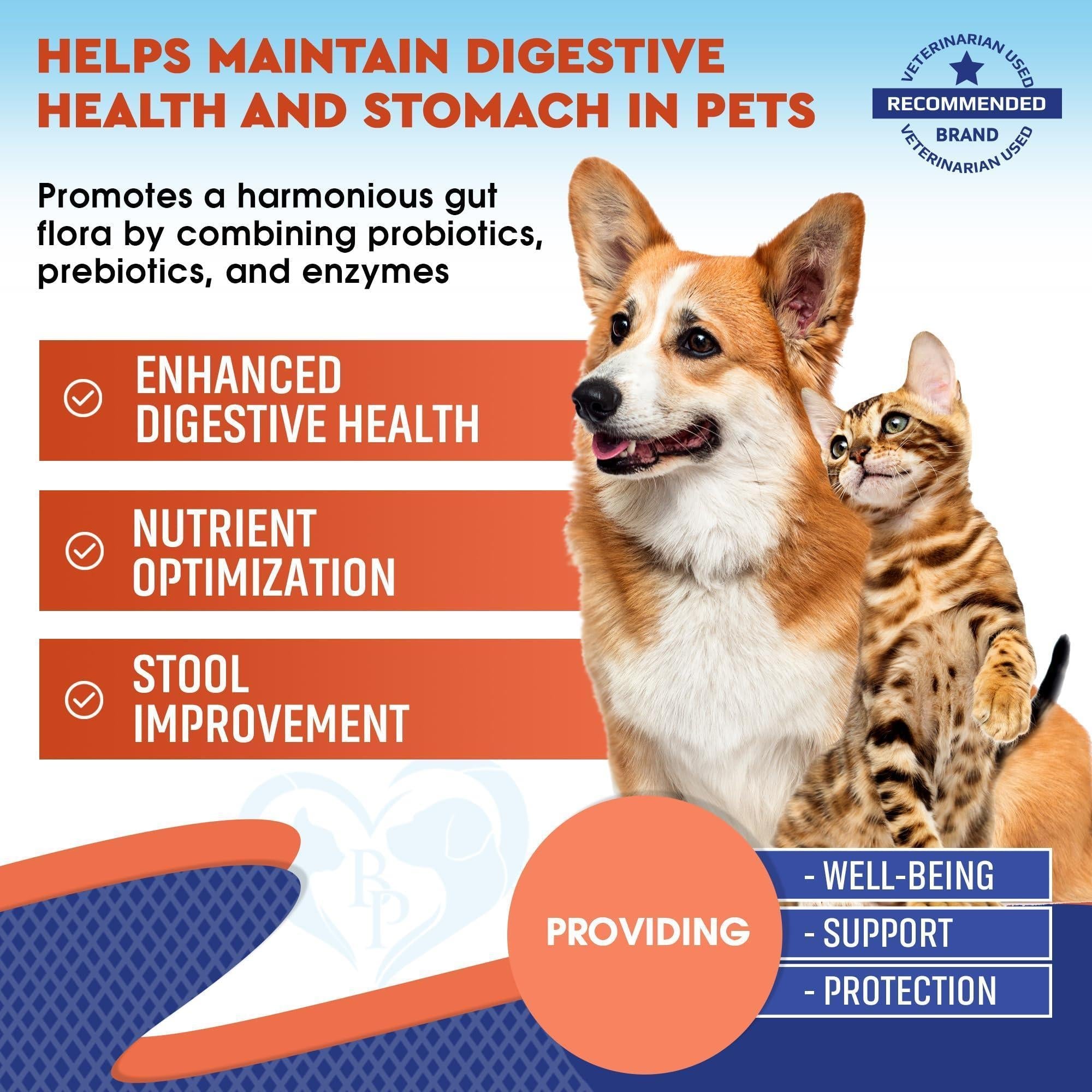 Probiotics &amp; Prebiotics for Dogs &amp; Cats Digestive Enzymes Gut Health