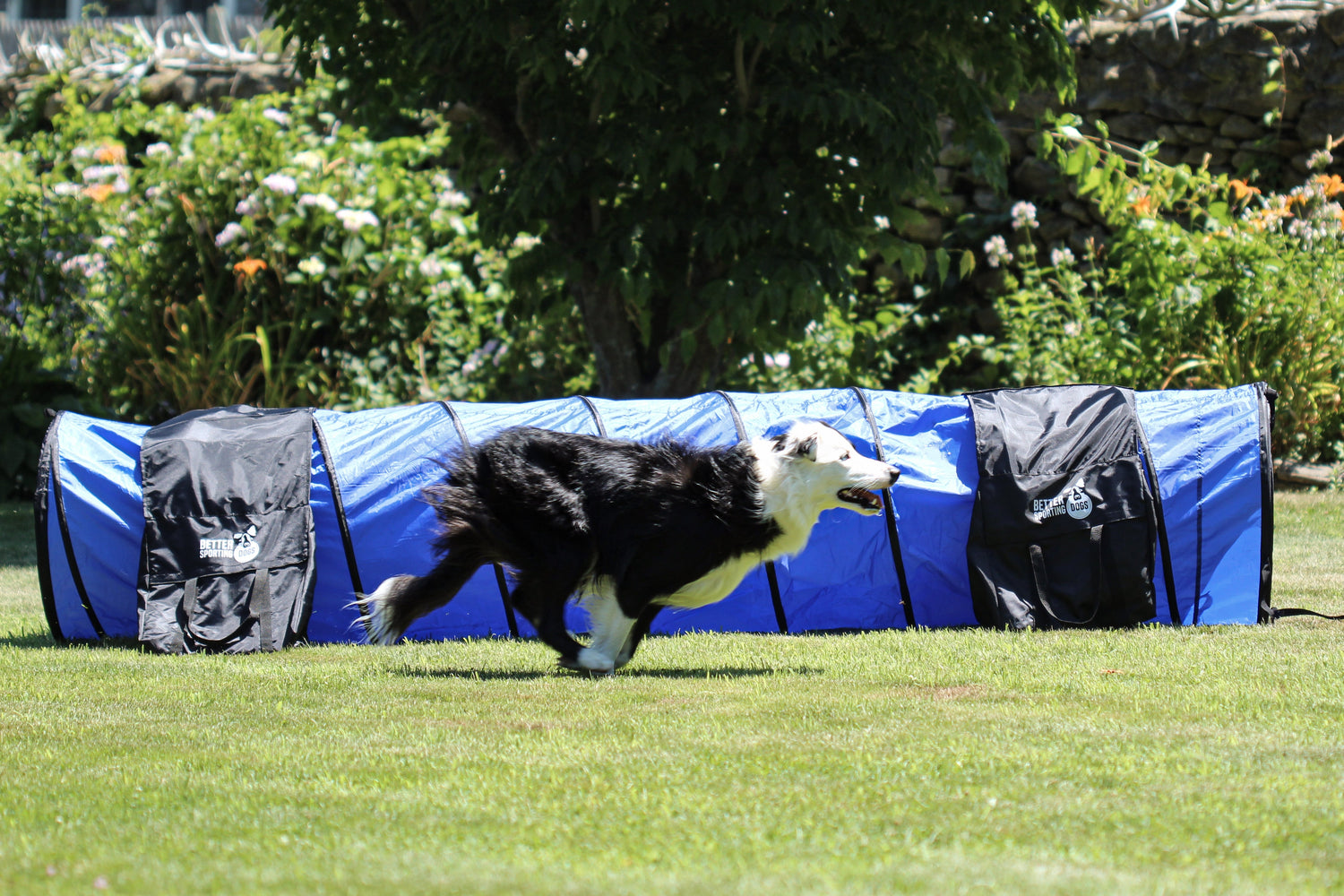 Better Sporting Dogs 5 Piece Dog Agility Equipment Set –  with Jumps, Tunnel, Pause Box &amp; Weave Poles