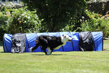 Better Sporting Dogs 5 Piece Dog Agility Equipment Set –  with Jumps, Tunnel, Pause Box &amp; Weave Poles