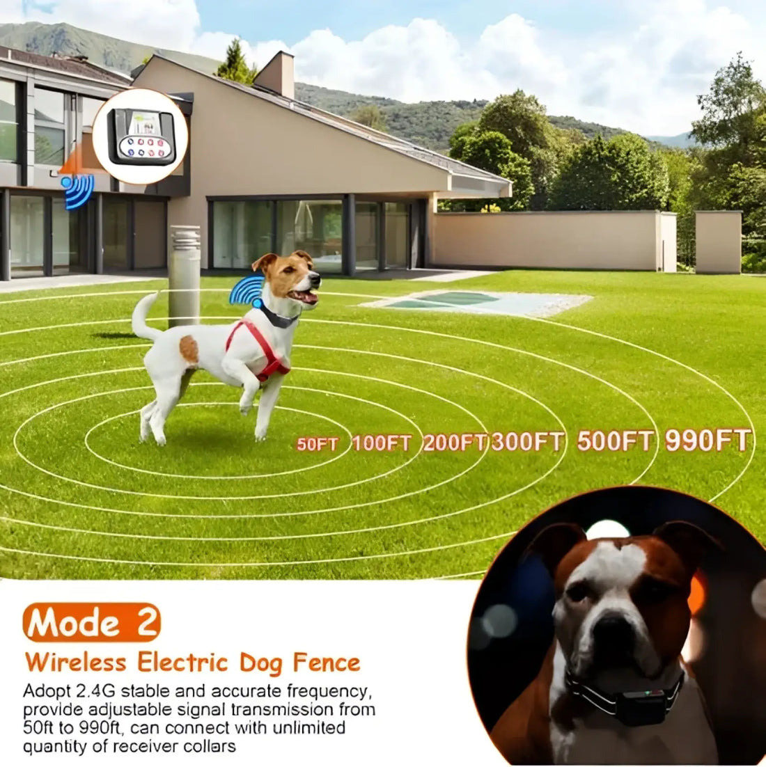 2-in-1 Wireless Dog Fence and Remote Training Collar Ipx6