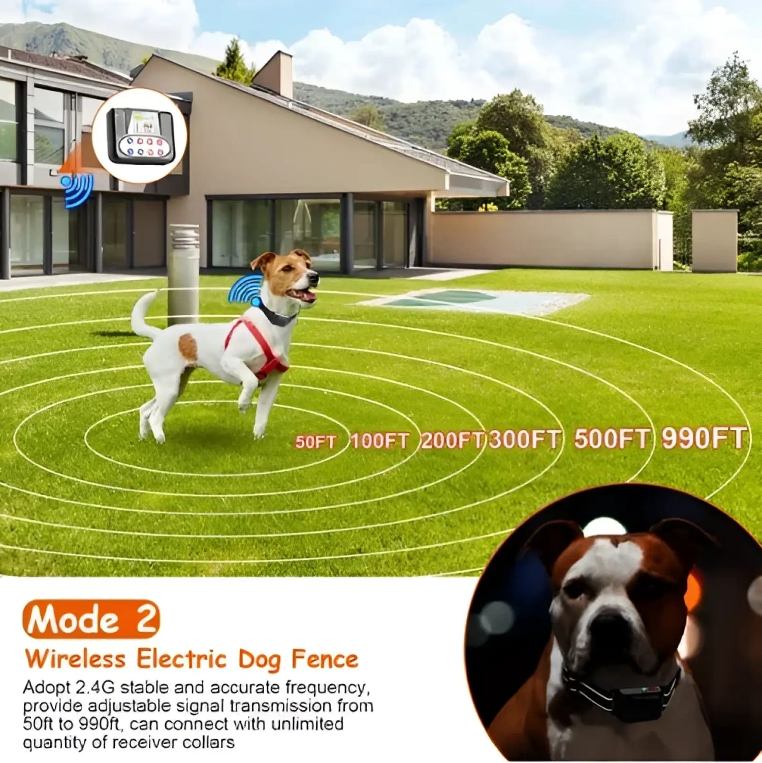 2-in-1 Wireless Dog Fence and Remote Training Collar Ipx6