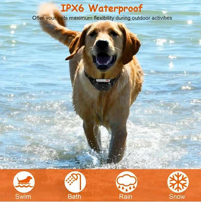 2-in-1 Wireless Dog Fence and Remote Training Collar Ipx6