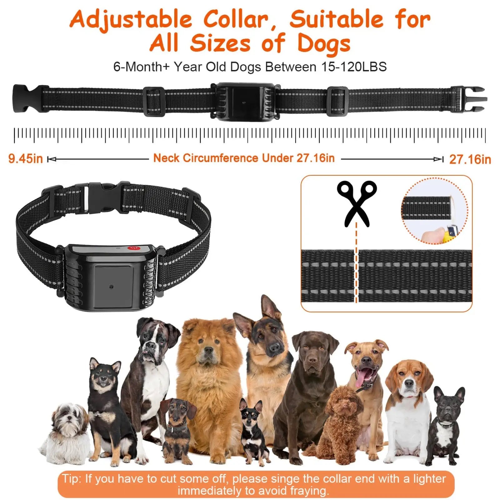 2-in-1 Wireless Dog Fence and Remote Training Collar