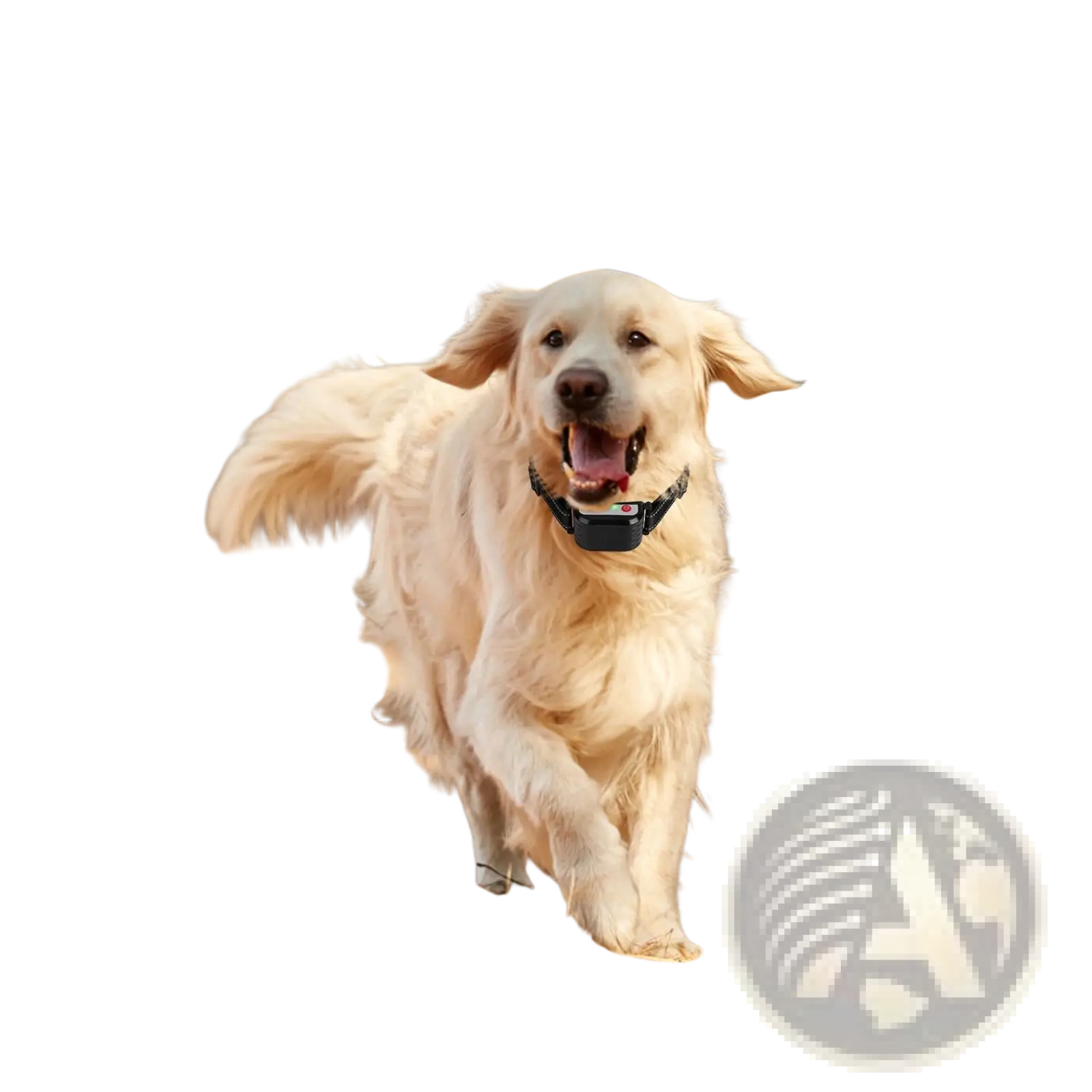 2-in-1 Wireless Dog Fence and Remote Training Collar