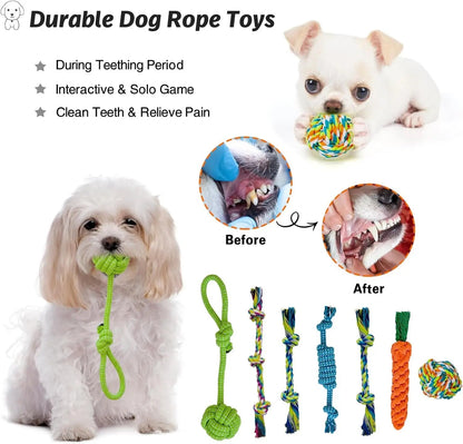 20-Piece Puppy Teething Chew Toy Set with Basket for Small &amp; Medium Dogs