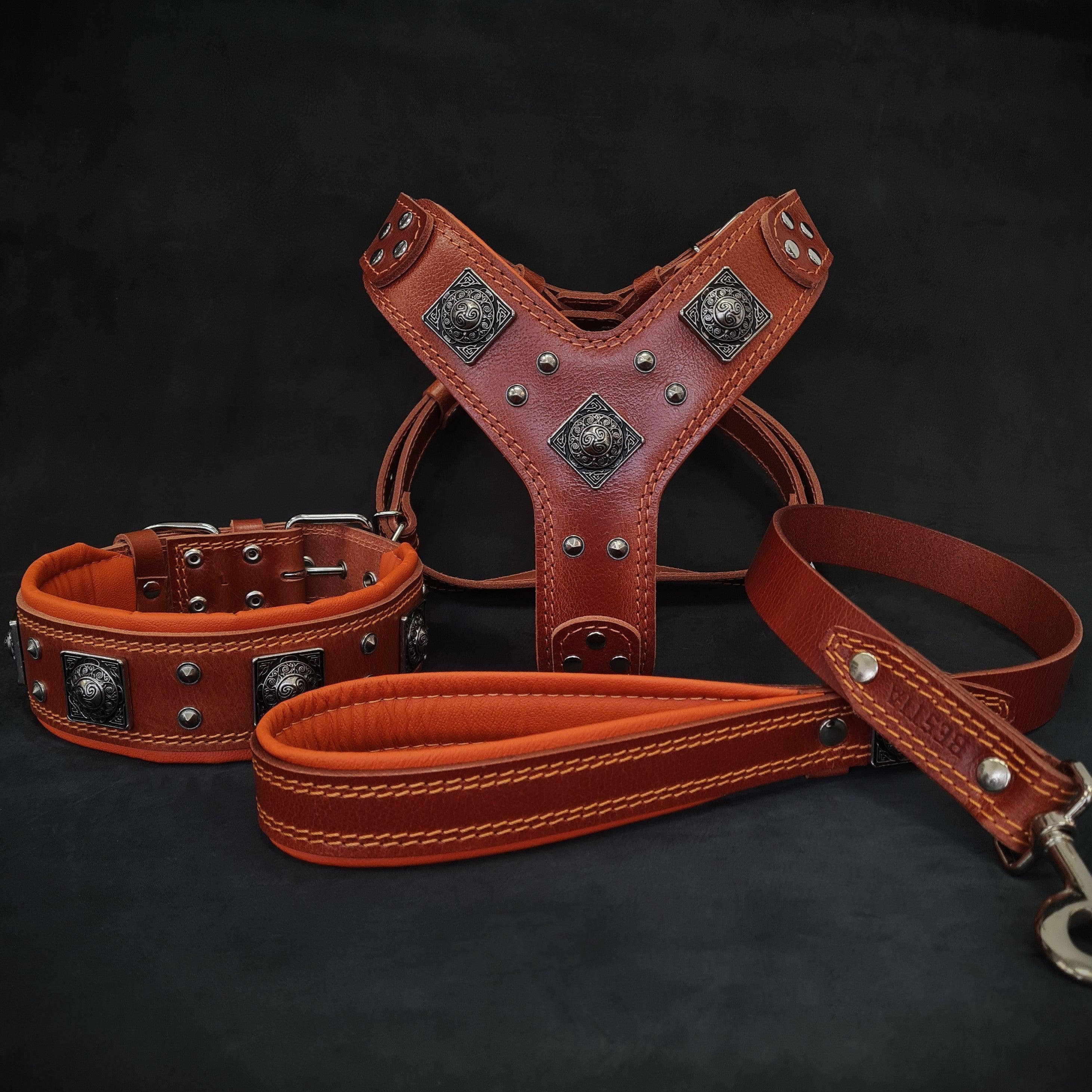 "EROS" BIG dog SET- Harness - collar - lead. Brown &amp; Orange