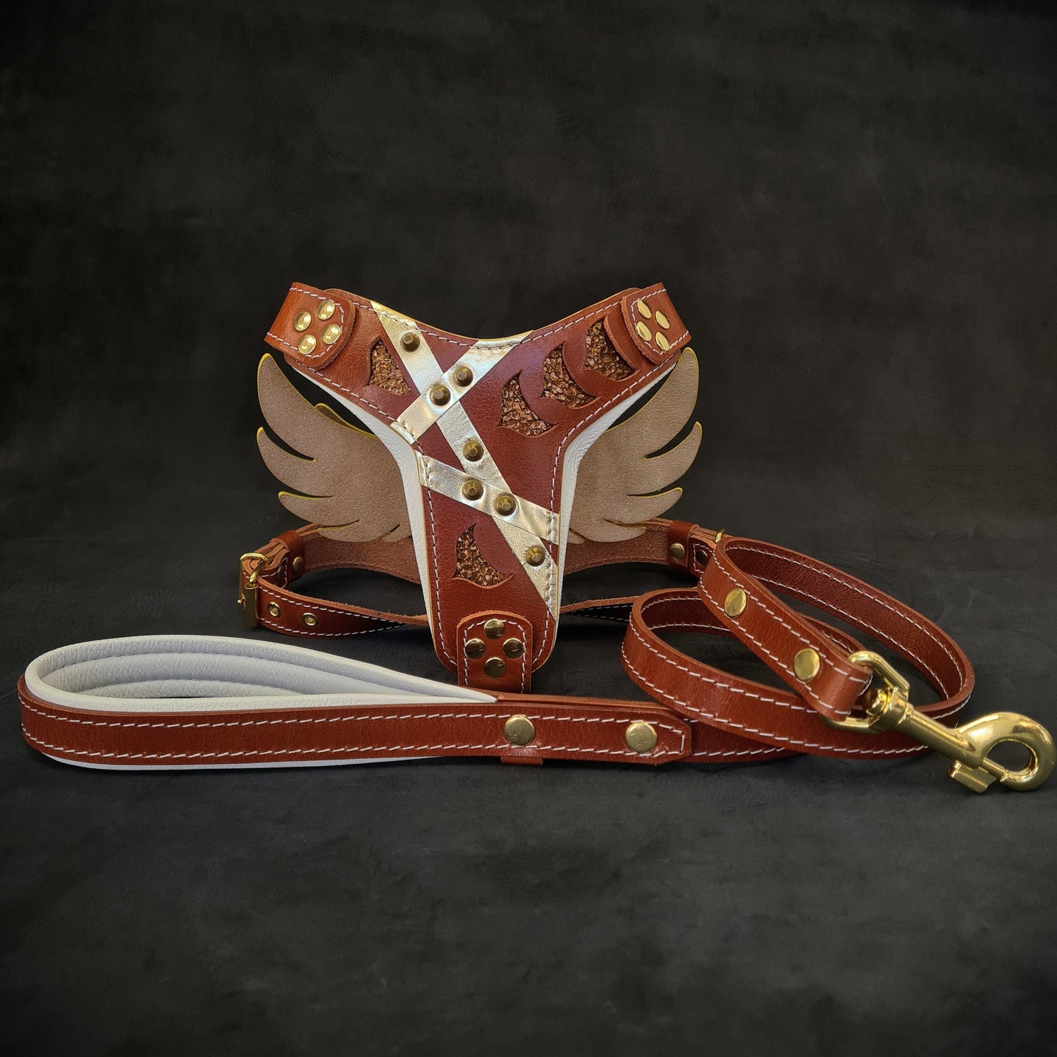 "Hermes" Set- harness &amp; leash