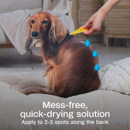 Adams Complete Indoor &amp; Outdoor Flea Treatment System for Medium Dogs 15–30 lbs