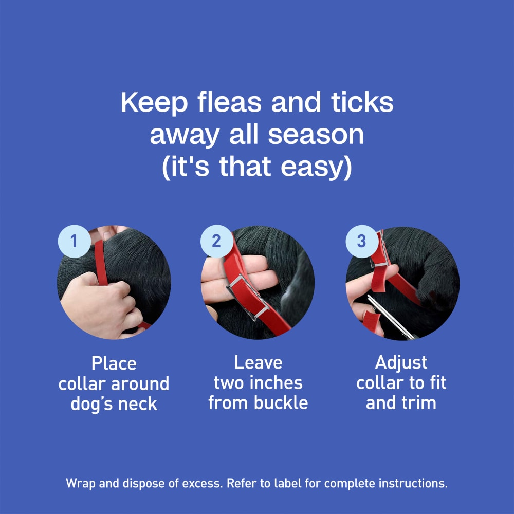 Adams Plus Flea &amp; Tick Collar for Small Dogs &amp; Puppies 7 Month Protection 3PK