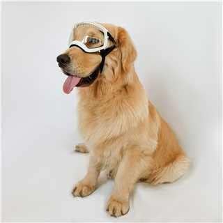 NAMSAN Clear Dog Goggles for Large Dogs, Wide Eyecup &amp; Soft Frame, Anti-UV Sunglasses for Dogs Medium to Large Breed, Driving Dog Eye Protection, Windproof Dustproof, Adjustable, White Frame