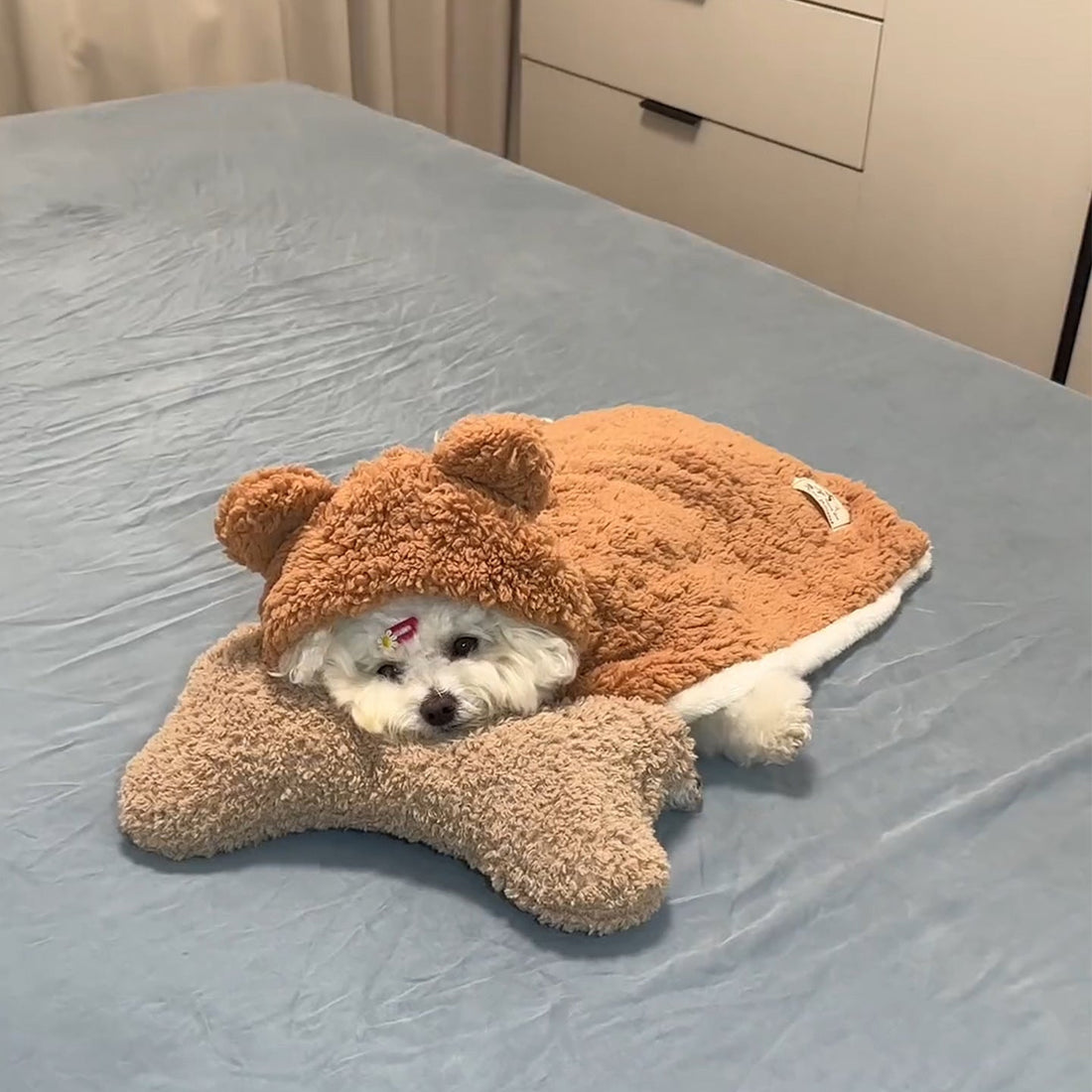 Pet Blanket, Dog Clothing, Winter Wear For Small And Medium-sized Dogs