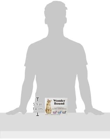 Amazon Brand - Wonder Bound Wet Cat Food, Pate, No Added Grain, Variety Pack (Cod, Sole &amp; Shrimp, Salmon, White Fish &amp; Tuna), 3 ounce (Pack of 24)
