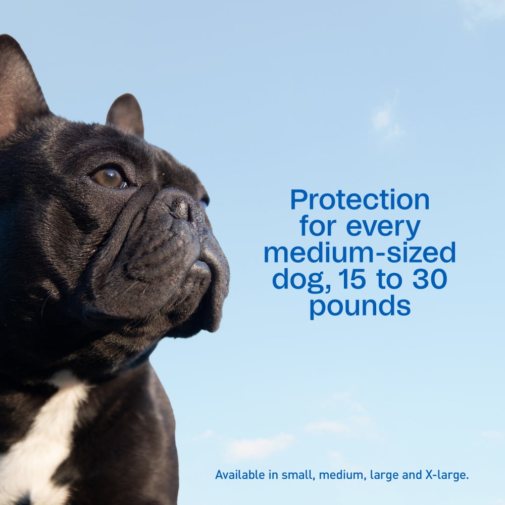 Adams Plus Flea &amp; Tick Spot On 3 Doses 30 Day Control for XLarge Dogs 61-150lbs
